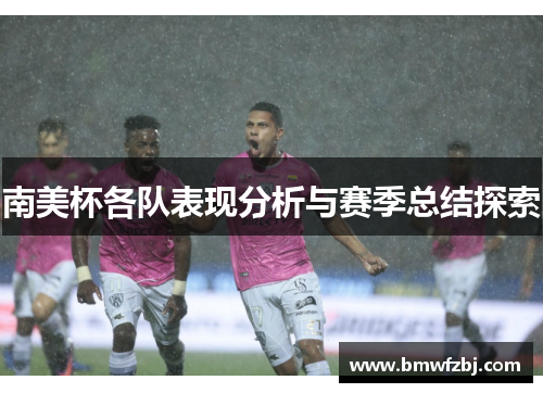 南美杯各队表现分析与赛季总结探索