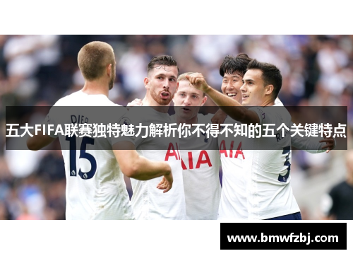 五大FIFA联赛独特魅力解析你不得不知的五个关键特点